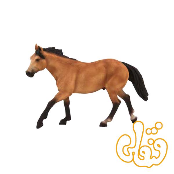 اسب آهویی محلی Quarter Horse Buckskin 387121